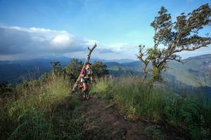 BIB: 
                            <button type="button" onclick="openModal(22445200)" class="btn btn-primary btn-sm float-right btn-popup" data-toggle="modal" data-target=".modal-high-quality">
                        <i class="fas fa-shopping-cart"></i> Add to Cart
                    </button>
                                            <button type="button" onclick="isThisMe(22445200, true)" class="btn btn-success btn-sm float-right btn-popup btn-isme hidden" data-toggle="tooltip" data-placement="bottom" title="นี่คือรูปของคุณใช่ไหม คลิกที่นี่เพื่อเอาเข้าอัลบั้ม">
                        <i class="fas fa-plus"></i> Add to album
                    </button>
                    <button type="button" onclick="isThisMe(22445200, false)" class="btn btn-warning btn-sm float-right btn-popup btn-isnotme hidden">
                        <i class="fas fa-ban"></i> Remove from album
                    </button>